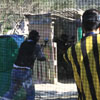 2ο Τουρνουά Paintball στα πεδία του Paintball Κρήτης 28-29 Νοεμβρίου 2009