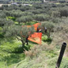 2ο Τουρνουά Paintball στα πεδία του Paintball Κρήτης 28-29 Νοεμβρίου 2009