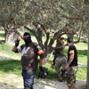 2ο Τουρνουά Paintball στα πεδία του Paintball Κρήτης 28-29 Νοεμβρίου 2009