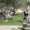 2ο Τουρνουά Paintball στα πεδία του Paintball Κρήτης 28-29 Νοεμβρίου 2009