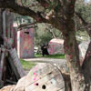 2ο Τουρνουά Paintball στα πεδία του Paintball Κρήτης 28-29 Νοεμβρίου 2009