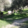 2ο Τουρνουά Paintball στα πεδία του Paintball Κρήτης 28-29 Νοεμβρίου 2009