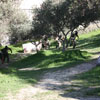 2ο Τουρνουά Paintball στα πεδία του Paintball Κρήτης 28-29 Νοεμβρίου 2009