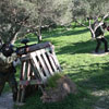 2ο Τουρνουά Paintball στα πεδία του Paintball Κρήτης 28-29 Νοεμβρίου 2009