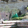 2ο Τουρνουά Paintball στα πεδία του Paintball Κρήτης 28-29 Νοεμβρίου 2009