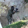 2ο Τουρνουά Paintball στα πεδία του Paintball Κρήτης 28-29 Νοεμβρίου 2009