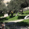 2ο Τουρνουά Paintball στα πεδία του Paintball Κρήτης 28-29 Νοεμβρίου 2009