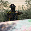 2ο Τουρνουά Paintball στα πεδία του Paintball Κρήτης 28-29 Νοεμβρίου 2009