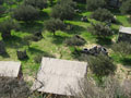 1st field