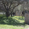 1st Paintball tournament at Paintball Crete on 28-29 March 2009