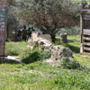 1st Paintball tournament at Paintball Crete on 28-29 March 2009