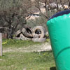 1st Paintball tournament at Paintball Crete on 28-29 March 2009