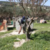 1st Paintball tournament at Paintball Crete on 28-29 March 2009