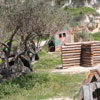 1st Paintball tournament at Paintball Crete on 28-29 March 2009