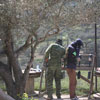 1st Paintball tournament at Paintball Crete on 28-29 March 2009