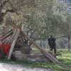 1st Paintball tournament at Paintball Crete on 28-29 March 2009