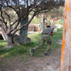 1st Paintball tournament at Paintball Crete on 28-29 March 2009