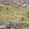 TOURNAMENT at the plateau of Mythias Anogia April 1, 2010