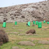 TOURNAMENT at the plateau of Mythias Anogia April 1, 2010