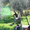 3nd Paintball tournament at Paintball Crete on 12-13 March 2011