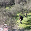 3nd Paintball tournament at Paintball Crete on 12-13 March 2011