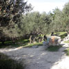 4th Paintball tournament at Paintball Crete on 5-6 November 2011