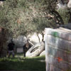 4th Paintball tournament at Paintball Crete on 5-6 November 2011