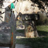 4th Paintball tournament at Paintball Crete on 5-6 November 2011