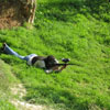 Action