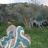 Action