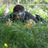 Action