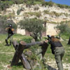 Action