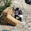 Action