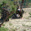 Action