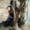 Action
