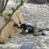 Action