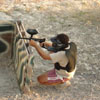 Action
