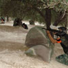 Action