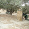 Action