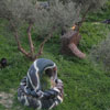 Action