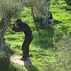 Action