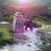 Action