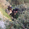 Action
