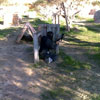 Action