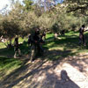 Action