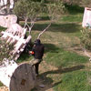 Action