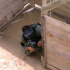 Action