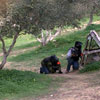 Action