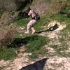 Action