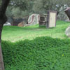 Natural Barriers